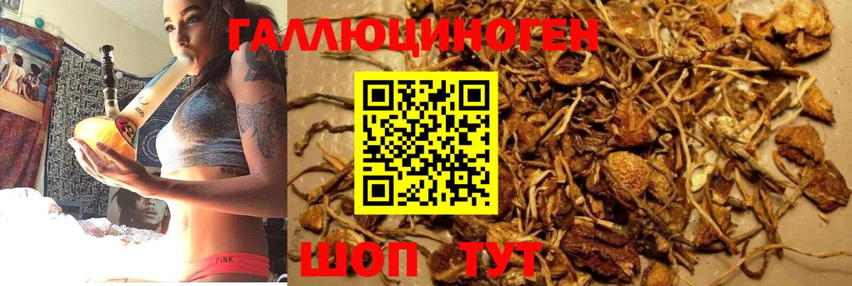 Псилоцибиновые грибы MAGIC MUSHROOMS  Псилоцибиновые грибы MAGIC MUSHROOMS  Вход с VPN  Ржев 